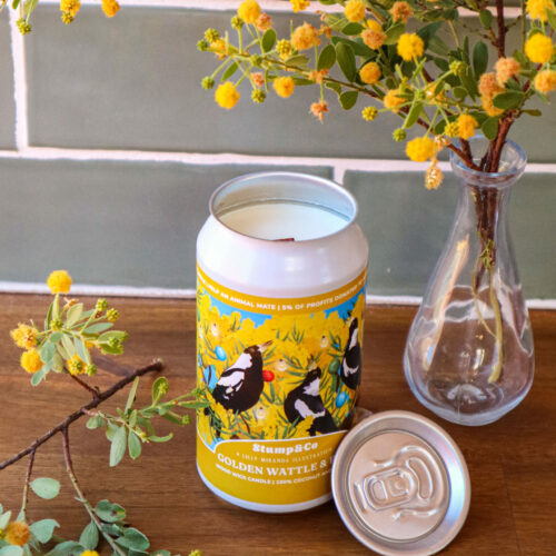 Golden Wattle and Pine Candle
